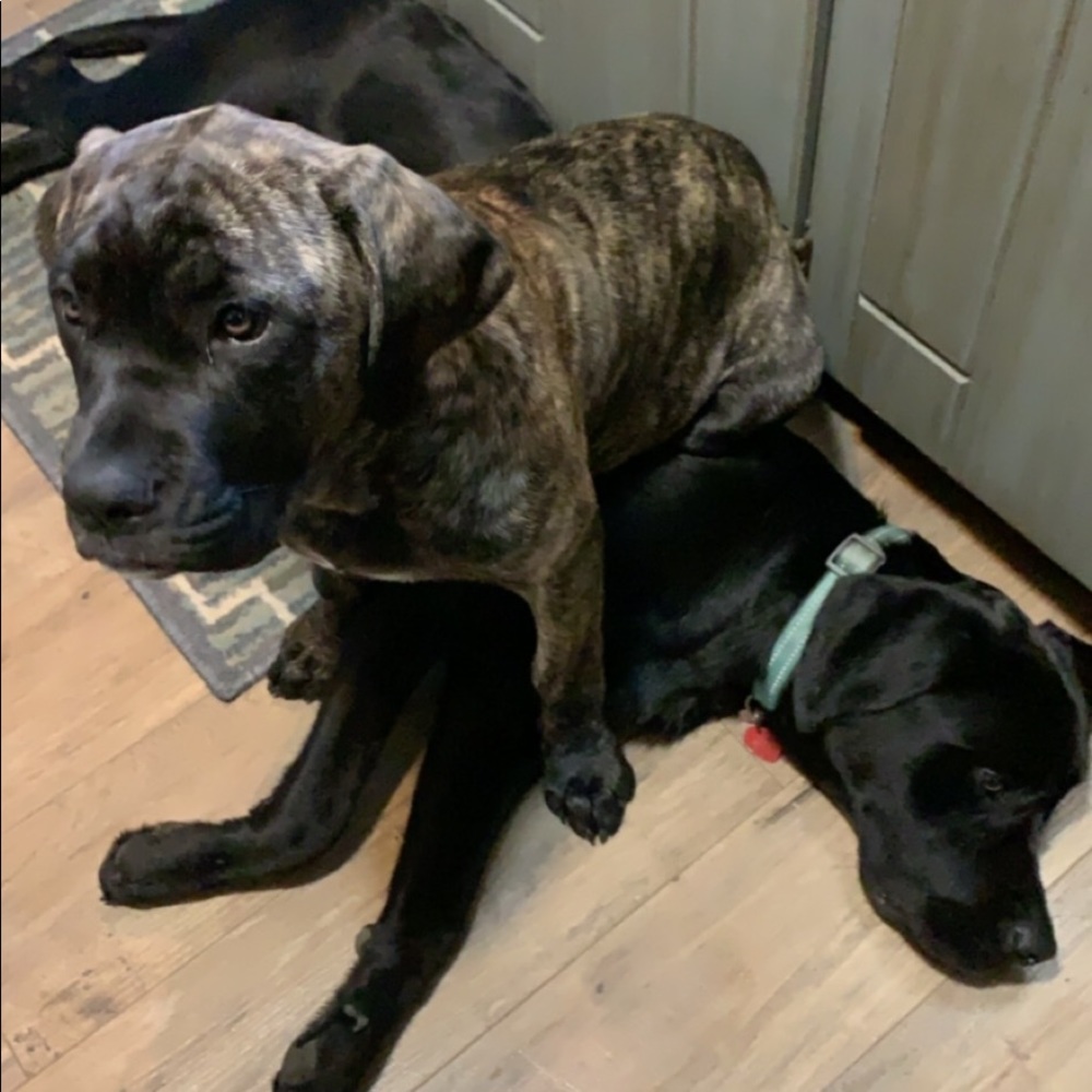 Meet your Posher, Brooke